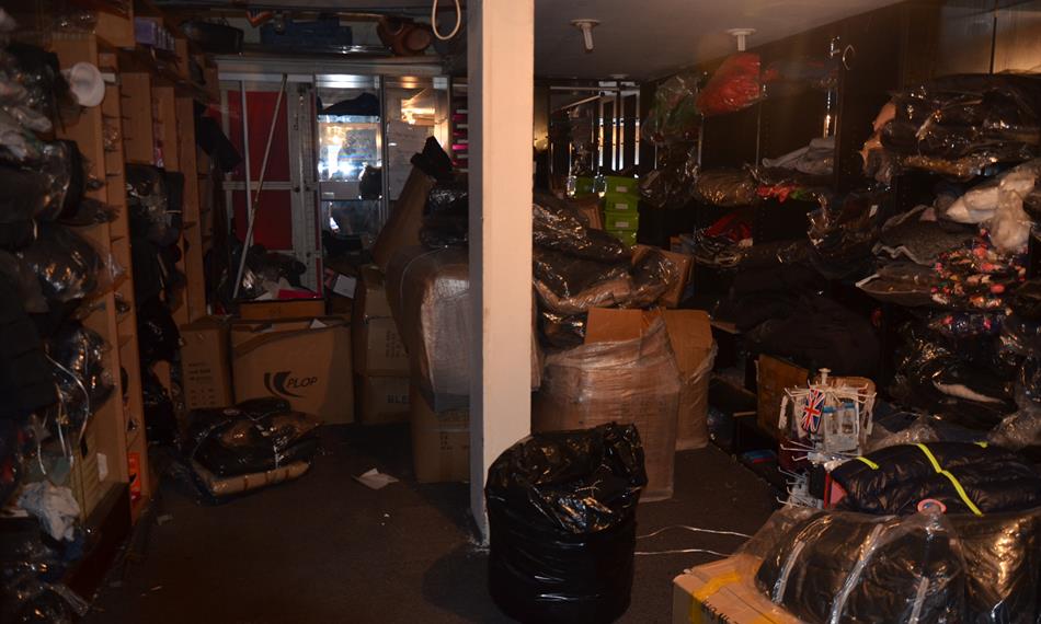 2014-11-20-137Canadian Goose 8.JPG